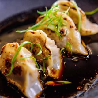 Gyoza