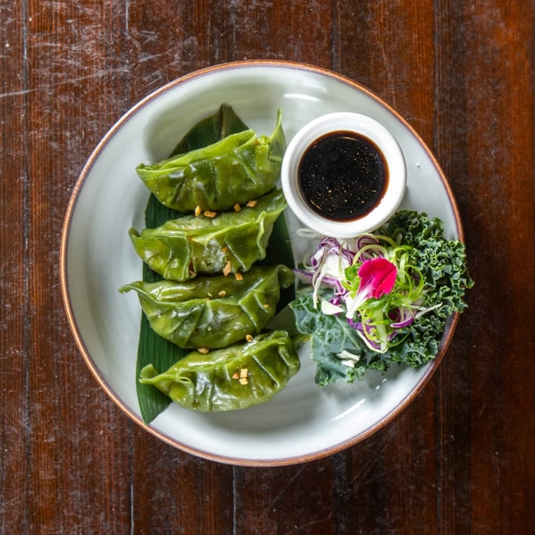 Savor Our Dumplings